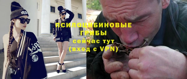 mix Снежногорск