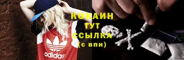 mix Снежногорск