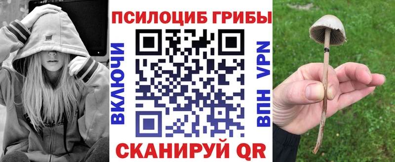 Галлюциногенные грибы мицелий  Купить где  Похвистнево 
